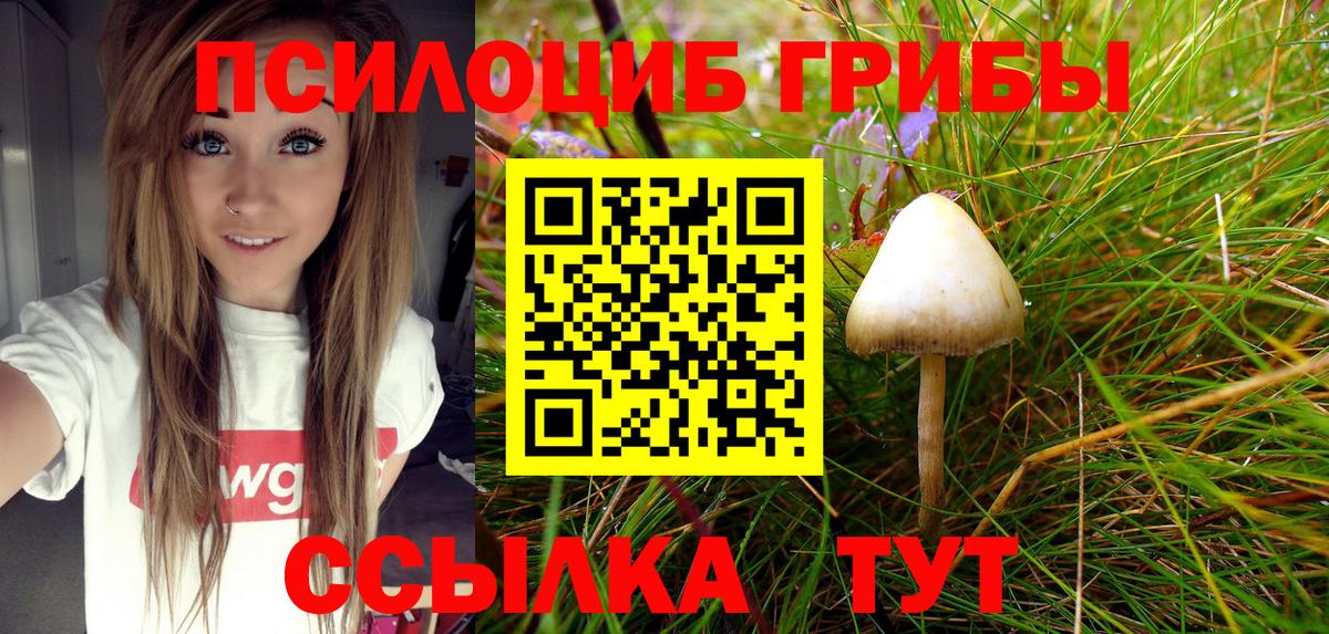 Галлюциногенные грибы Magic Shrooms  Вход с VPN  Златоуст 