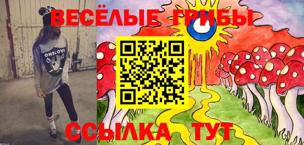 Галлюциногенные грибы GOLDEN TEACHER Златоуст